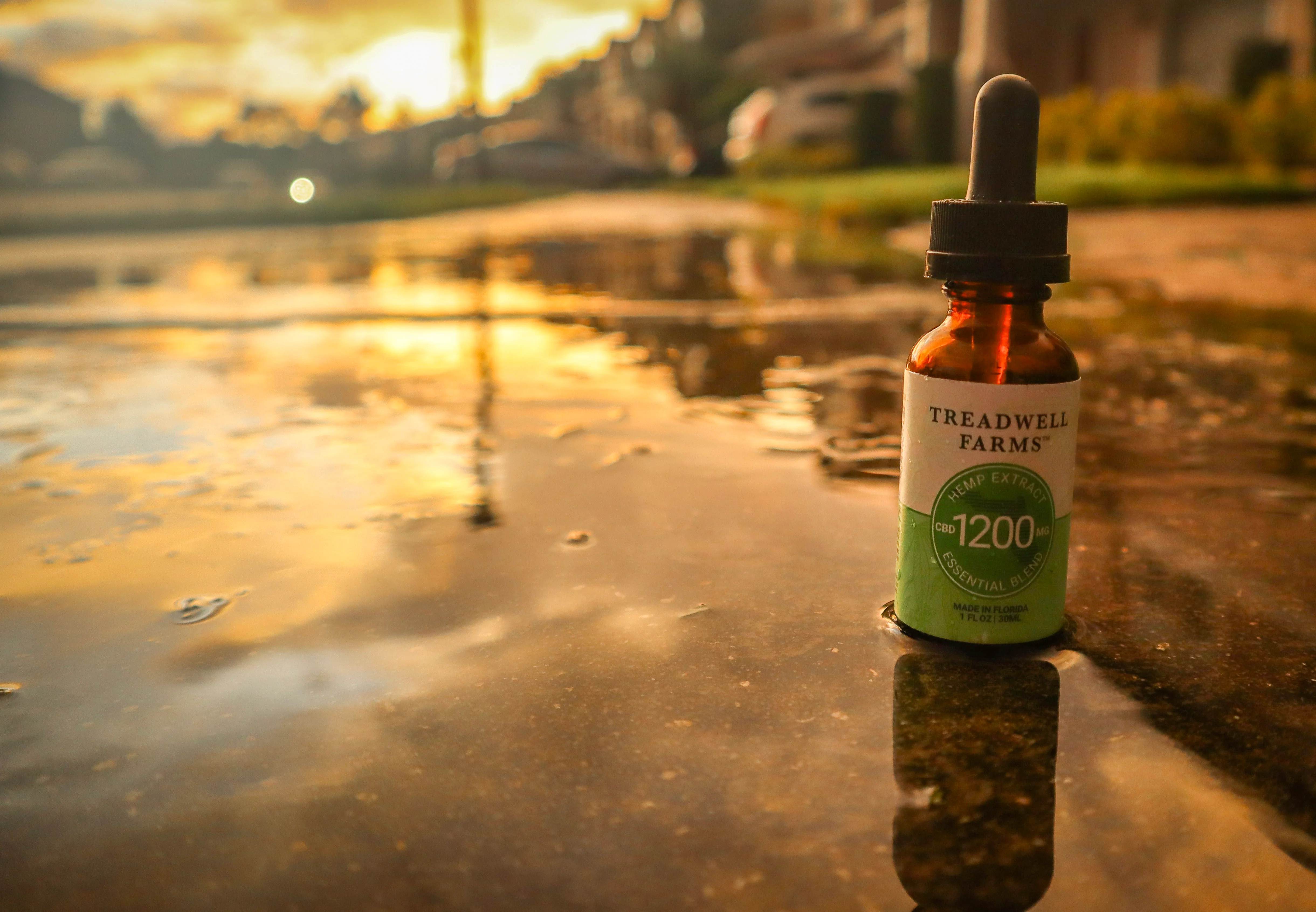 Everyday Essential CBD Extract - Image 4